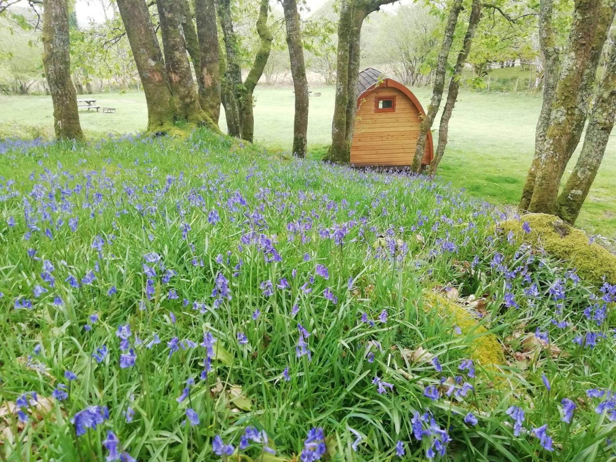 Dinas Hotel Llanbedr  Eksteriør billede