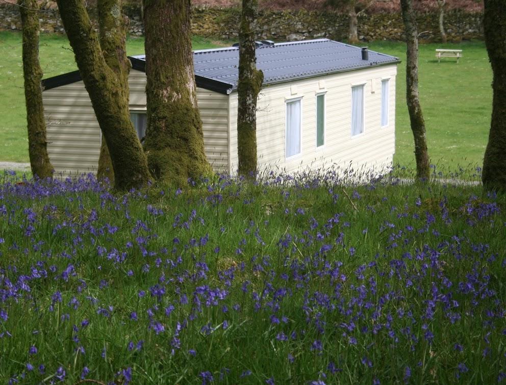 Dinas Hotel Llanbedr  Eksteriør billede